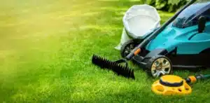 Lawn Mowing Services in Tauranga