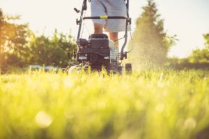 Lawn Mowing Services in Judea And Bethlehem
