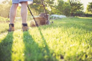 Lawn Mowing Services in Welcome Bay And Maungatapu