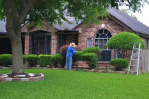 Lawn Mowing Services in Bellevue And Brookfield