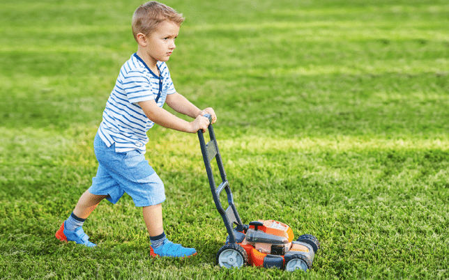 Regular Lawn Mowing 1