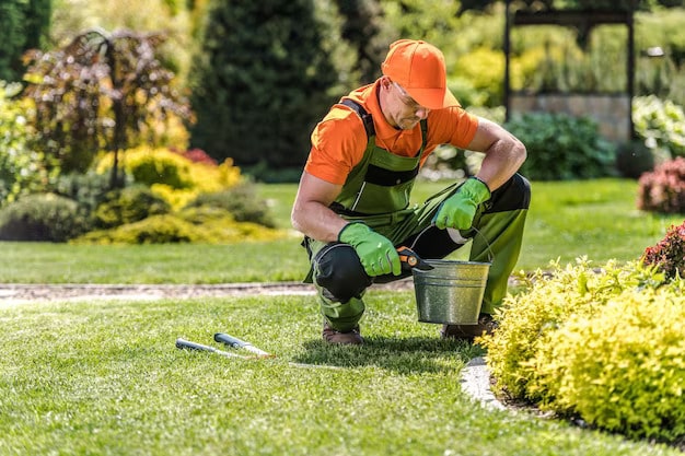 Gardening Services in Tauranga