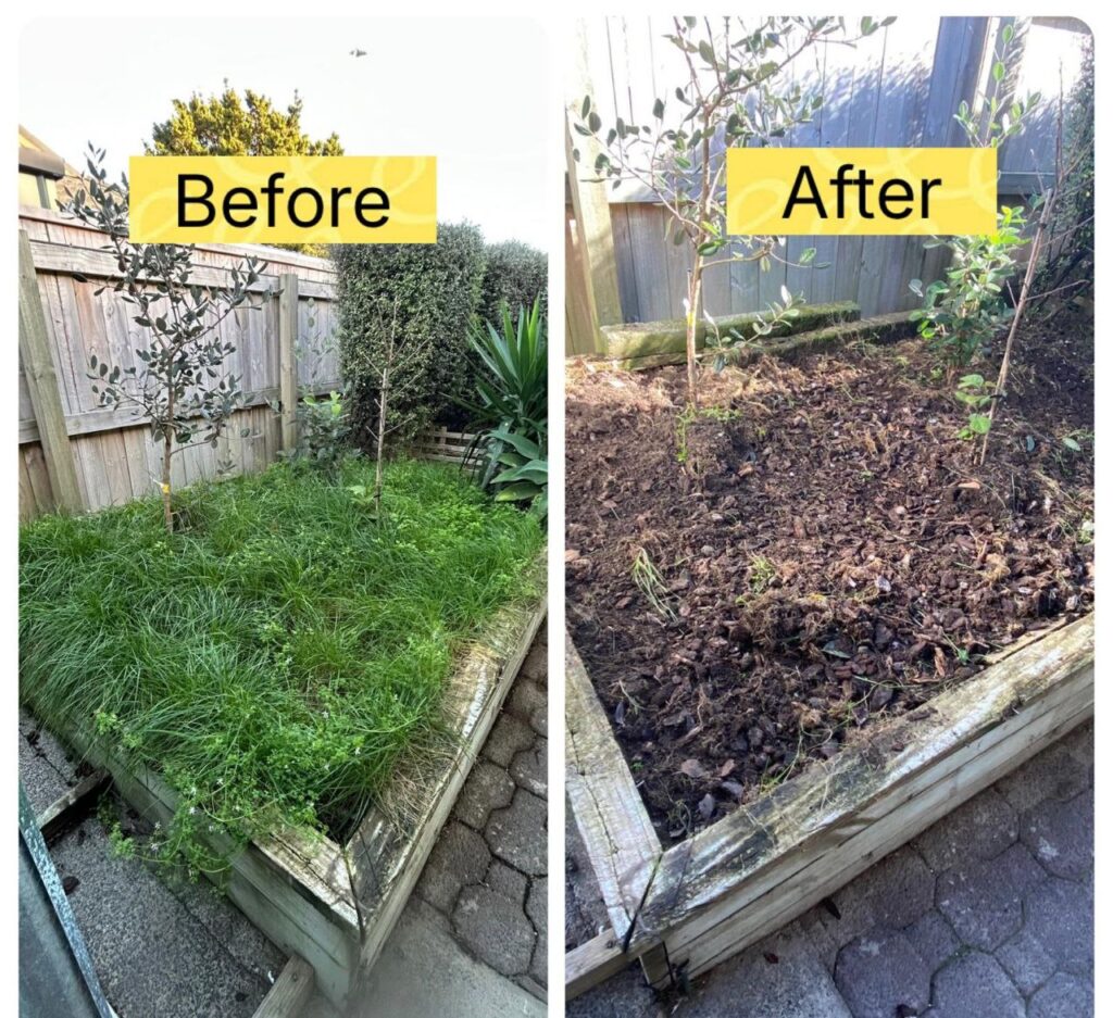 Seasonal Garden Work 03