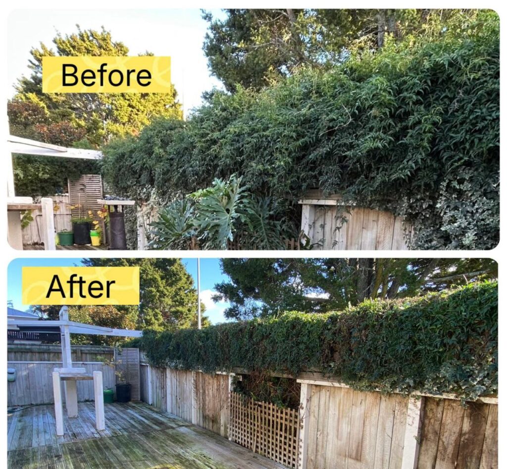 Trimming Pruning 02