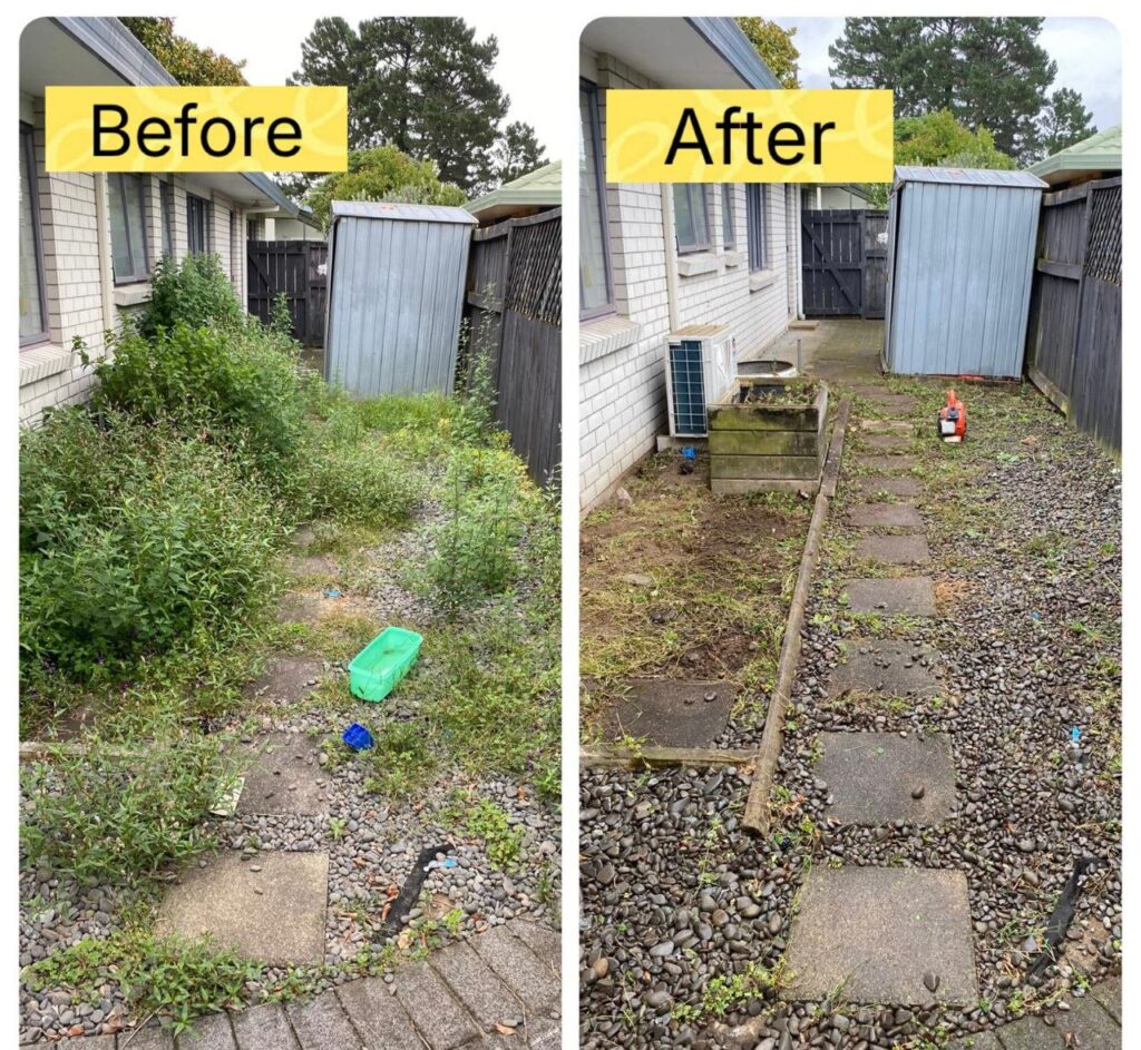 Weed control 01