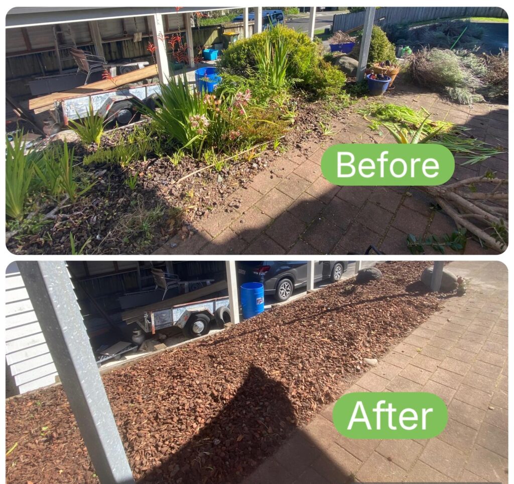 WhatsApp Image 2025 09 25 at 13.40.16 e2d28e40