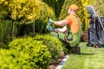 Gardening Service SK Mowing 03