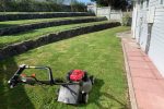 Lawn Mowing