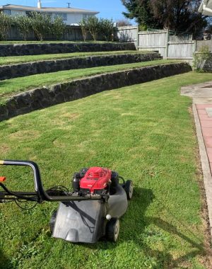 Lawn Mowing
