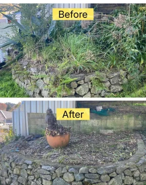 Seasonal-Garden-Work-02.jpg Seasonal-Garden-Work-02.jpg