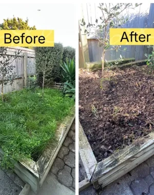 Seasonal-Garden-Work-03.jpg Seasonal-Garden-Work-03.jpg