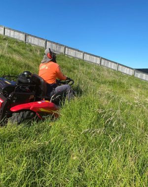 Heavy Mowing